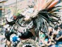 mdcer 41 copyright 2012 sophia hantzes all rights reserved