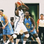 03 lynx franklin copyright 2012 sophia hantzes alll rights reserved