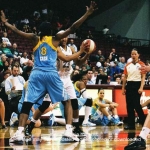 29 lynx moore  copyright 2012 sophia hantzes alll rights reserved