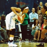 31 lynx moore copyright 2012 sophia hantzes all rights reserved
