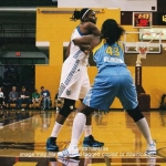 37 lynx adair  copyright 2012 sophia hantzes all rights reserved