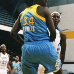 40 chi fowles  copyright 2012 sophia hantzes all rights reserved