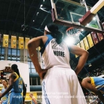 52 lynx moore  copyright 2012 sophia hantzes all rights reserved