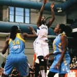 53 lynx adair  copyright 2012 sophia hantzes all rights reserved