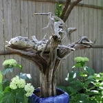Dale-Vanden-Houten-and-Rick-Scott-Tangletown-Gardens06