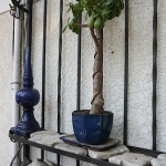 Dale-Vanden-Houten-and-Rick-Scott-Tangletown-Gardens15