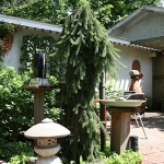 Dale-Vanden-Houten-and-Rick-Scott-Tangletown-Gardens19