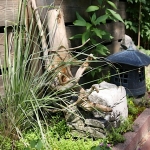 Dale Vanden Houten and Rick Scott-Tangletown Gardens26