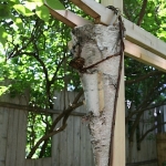 Dale-Vanden-Houten-and-Rick-Scott-Tangletown-Gardens31
