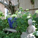 Dale-Vanden-Houten-and-Rick-Scott-Tangletown-Gardens34