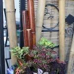 Dale-Vanden-Houten-and-Rick-Scott-Tangletown-Gardens51