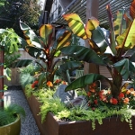 Joanne Grobe and Kate Pabst-Tangletown Gardens02