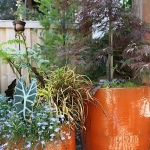 Joanne-Grobe-and-Kate-Pabst-Tangletown-Gardens07
