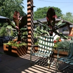 Joanne Grobe and Kate Pabst-Tangletown Gardens09