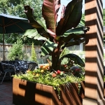Joanne-Grobe-and-Kate-Pabst-Tangletown-Gardens10