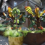 Joanne Grobe and Kate Pabst-Tangletown Gardens12