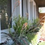 Joanne-Grobe-and-Kate-Pabst-Tangletown-Gardens15