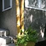 Joanne-Grobe-and-Kate-Pabst-Tangletown-Gardens31