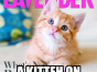 Lavender Ermahgerd