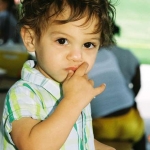 pic 21 copyright 2012 sophia hantzes all rights reserved