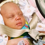pic 25 copyright 2012 sophia hantzes all rights reserved