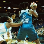 12 lynx franklin copyright 2012 sophia hantzes all rights reserved