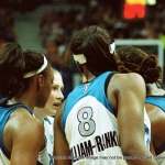 12 lynx team copyright 2012 sophia hantzes all rights reserved