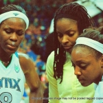 23 lynx team copyright 2012 sophia hantzes all rights reserved
