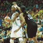 31 lynx franklin copyright 2012 sophia hantzes all rights reserved.