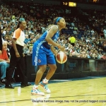 48 ny pondexter copyright 2012 sophia hantzes all rights reserved