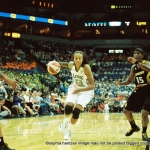 49 lynx augustus copyright 2012 sophia hantzes all rights reserved