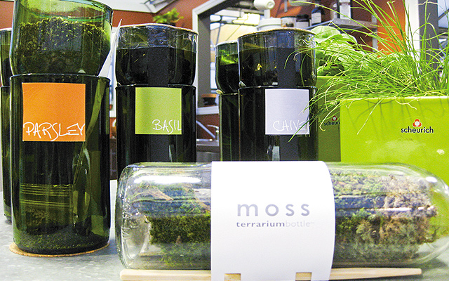 Micro-Greens