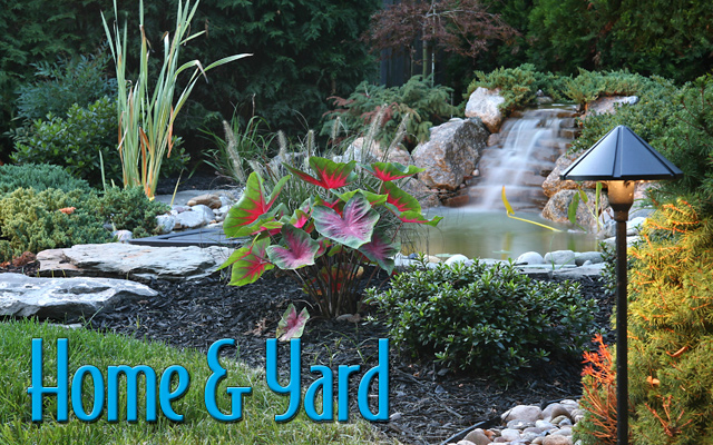 home_yard