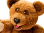 Bear-With-Me