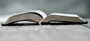 Book-of-Brian