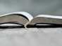 Book-of-Brian
