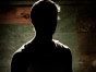 Shivering-in-the-Shadows