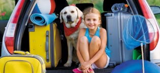 Summer-Survival-and-Travel