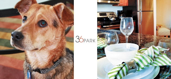 36Park
